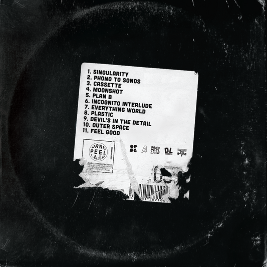 What Once Was Will Never Be LP